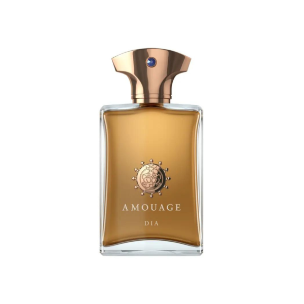 Amouage Dia Pour Homme Eau De Parfum 100Ml - Classic Men'S Scent